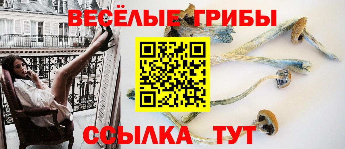 Псилоцибиновые грибы Cubensis Бийск