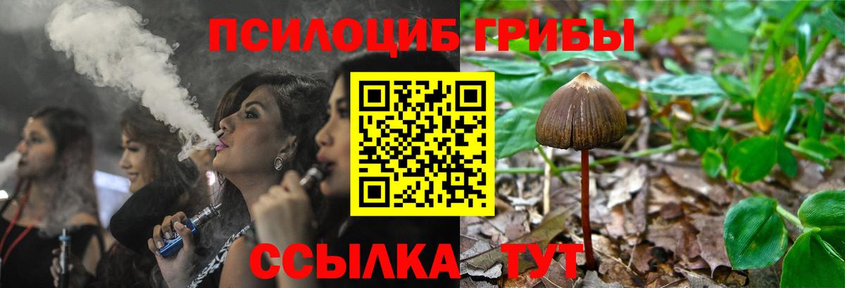 Псилоцибиновые грибы ЛСД  Вход с VPN  Бийск 